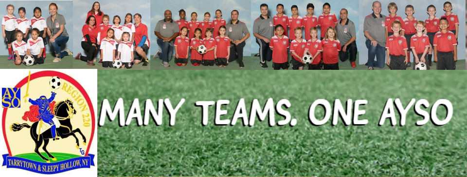 Many Teams. One AYSO.